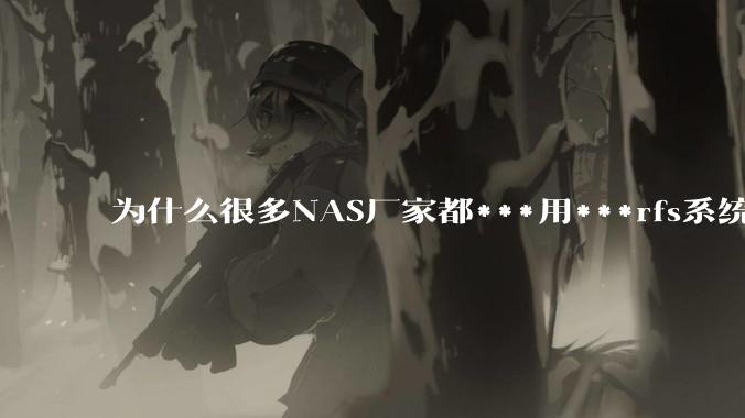 为什么很多NAS厂家都***用***rfs系统，而不是更稳定的zfs?